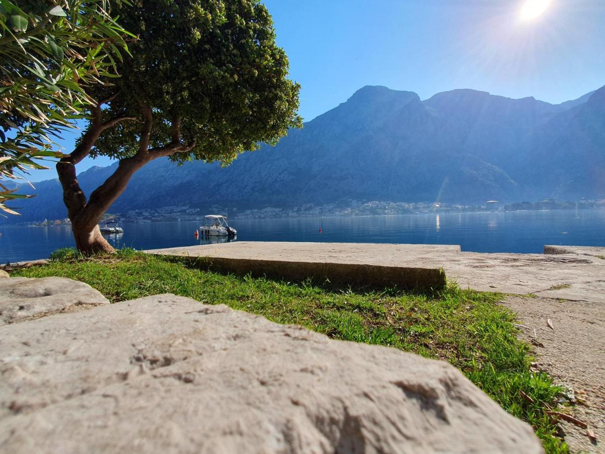 Apartman Pontica Kotor Kültér fotó