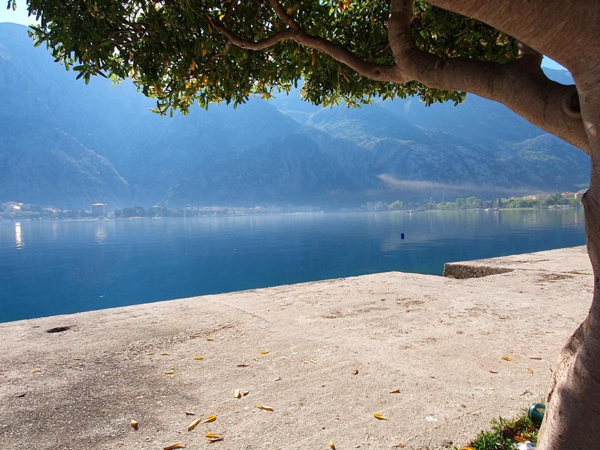 Apartman Pontica Kotor Kültér fotó