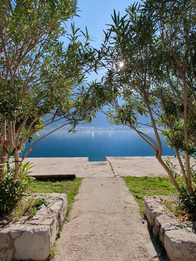 Apartman Pontica Kotor Kültér fotó