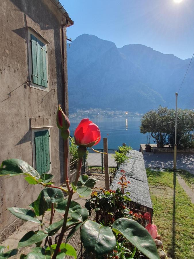 Apartman Pontica Kotor Kültér fotó